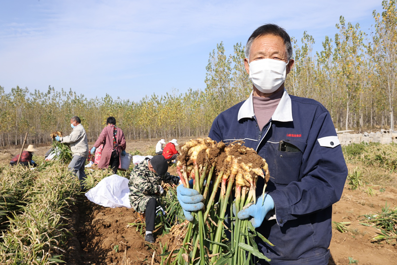 ������������ح�����(zh��n)������ϲ�S�� �r��չЦ�