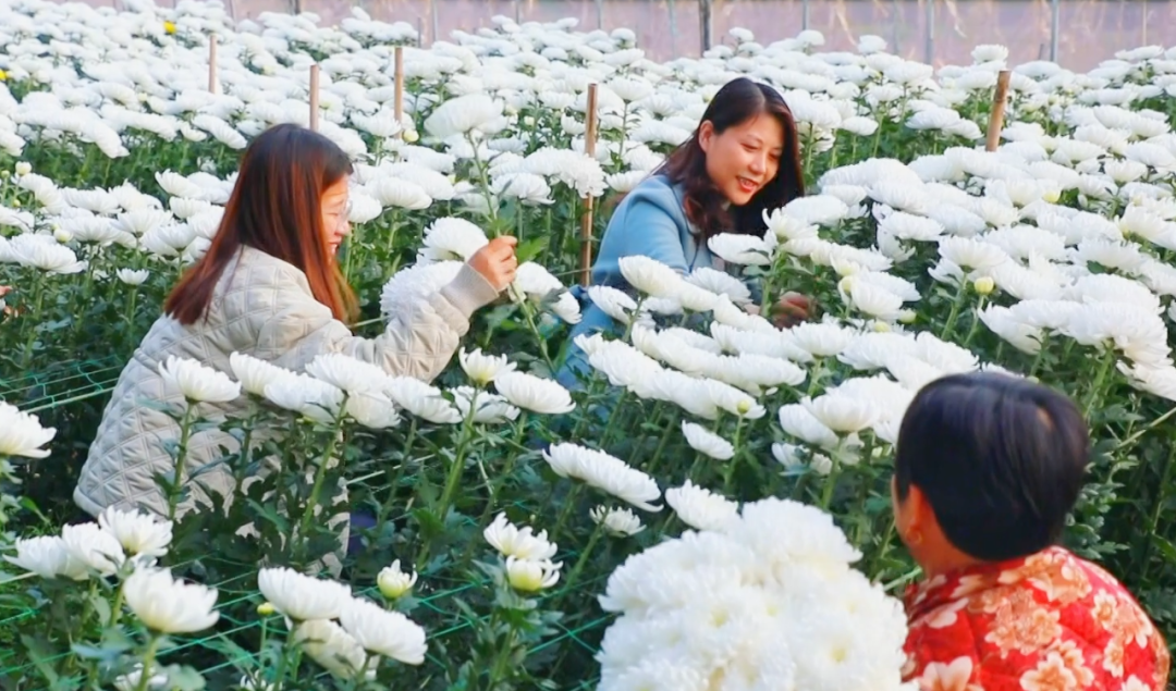 �F�ǅ^(q��)���ջ������M�ء���