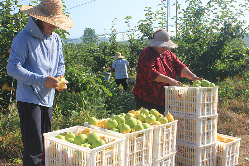 ��ó������Ѕ^(q��)ǰ�����@��(g��)���@���������ˣ�