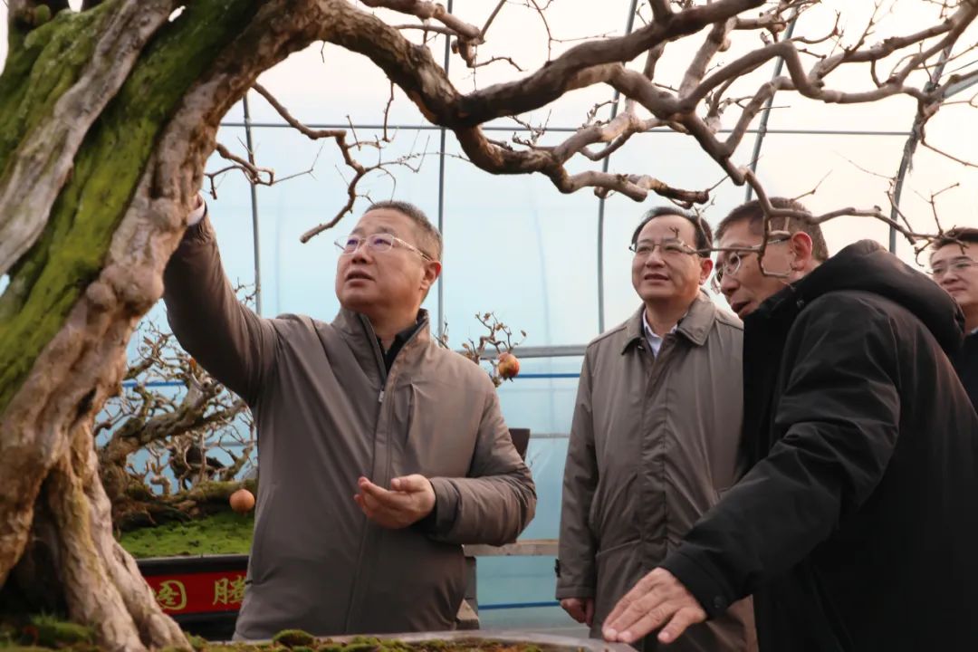 ���f��ί����ӛ������ί��ӛ�����ށ�F�ǅ^(q��)�{(di��o)��ʯ��a(ch��n)�I(y��)�l(f��)չ����